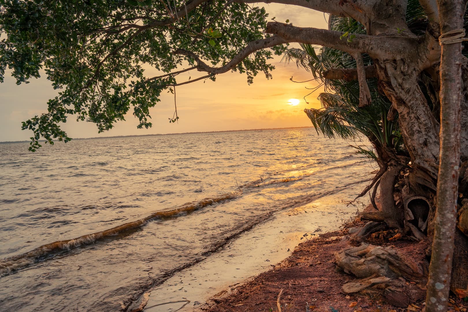 Lagoon scenery
